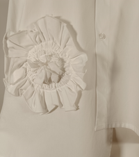 WOMEN'S SHIRT M/L PE25FREE/D Tellini S.r.l. Wholesale Clothing